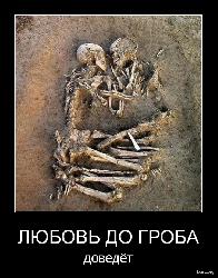  (527x671, 189 k�...)