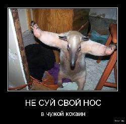  (575x564, 127 k�...)