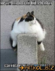  (296x383, 32 k�...)