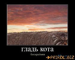  (500x400, 37 k�...)