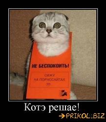  (434x500, 36 k�...)