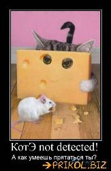  (326x500, 32 k�...)