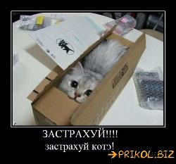  (500x465, 40 k�...)