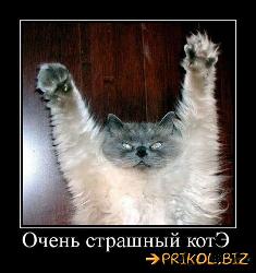  (469x500, 47 k�...)