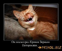  (500x411, 40 k�...)