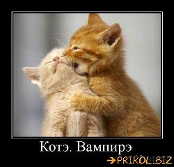  (500x480, 42 k�...)