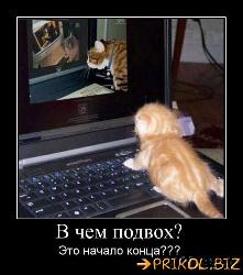  (442x500, 43 k�...)