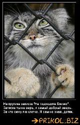  (321x500, 51 k�...)