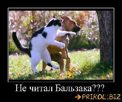  (500x419, 55 k�...)