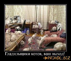  (500x428, 58 k�...)