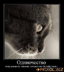  (443x500, 41 k�...)