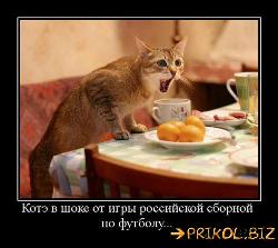  (500x446, 43 k�...)