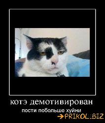  (426x500, 31 k�...)