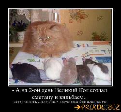  (500x464, 47 k�...)