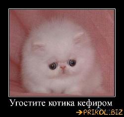  (500x470, 33 k�...)