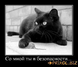  (500x431, 36 k�...)