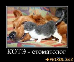  (500x420, 43 k�...)