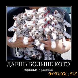  (499x500, 57 k�...)