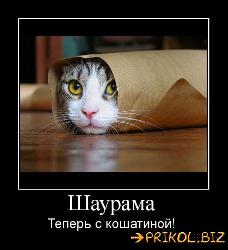  (455x500, 35 k�...)