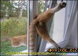  (500x360, 40 k�...)