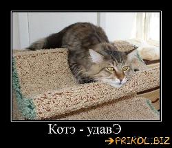  (500x432, 52 k�...)