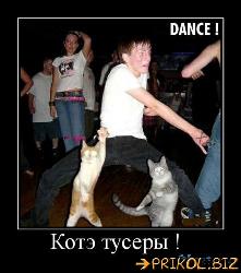  (442x500, 41 k�...)