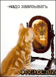  (300x414, 32 k�...)