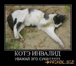  (500x434, 50 k�...)