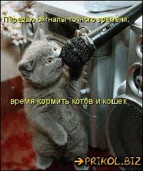  (404x484, 57 k�...)