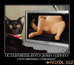  (500x438, 43 k�...)