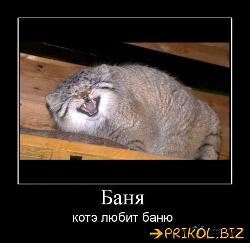  (500x486, 37 k�...)