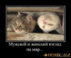  (500x408, 37 k�...)