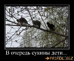  (500x413, 66 k�...)