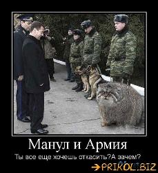  (458x500, 56 k�...)