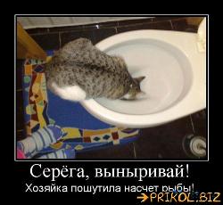  (500x460, 43 k�...)