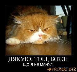  (500x465, 49 k�...)