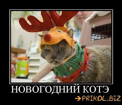  (500x430, 46 k�...)