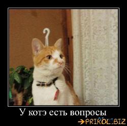  (500x496, 41 k�...)