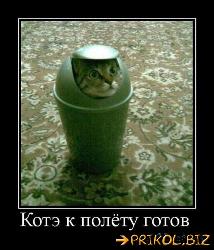  (427x500, 47 k�...)