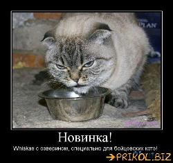  (500x470, 54 k�...)