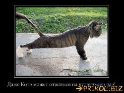  (500x375, 46 k�...)