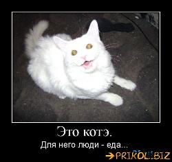  (500x471, 36 k�...)