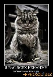  (343x500, 41 k�...)