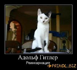  (500x455, 36 k�...)