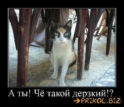  (500x430, 46 k�...)