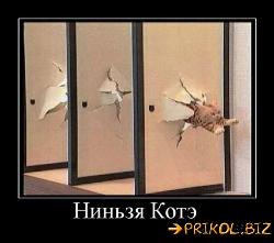  (500x442, 35 k�...)