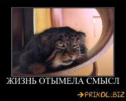  (500x400, 37 k�...)