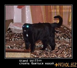  (500x446, 55 k�...)