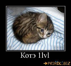  (500x461, 42 k�...)