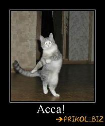  (417x500, 30 k�...)